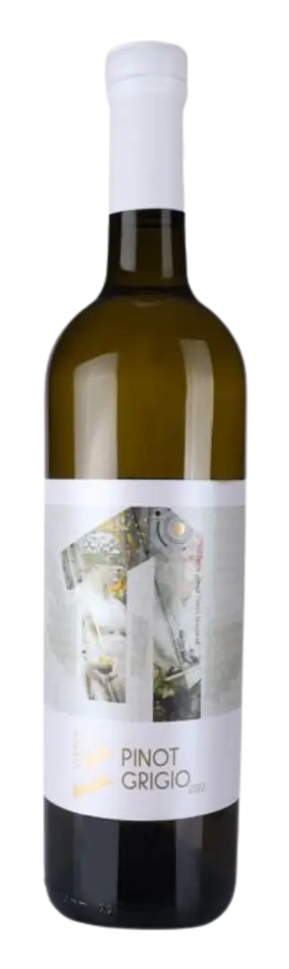 Virtus Pinot Grigio